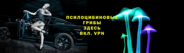 jwh Белокуриха