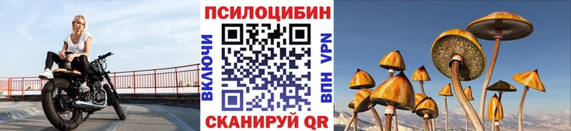 Галлюциногенные грибы мицелий  Купить  Сосновка 